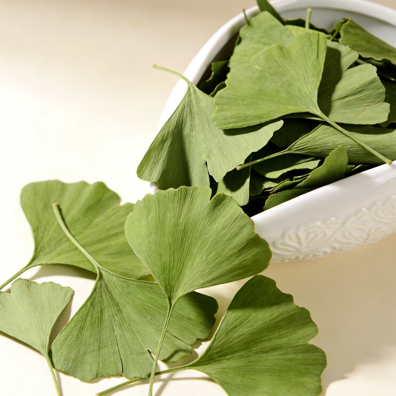 Home Fragrance Candles - Feuilles de Ginkgo Biloba séchées de